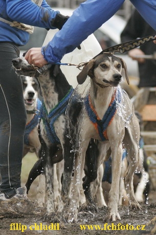 Bakonybel - 0813.JPG